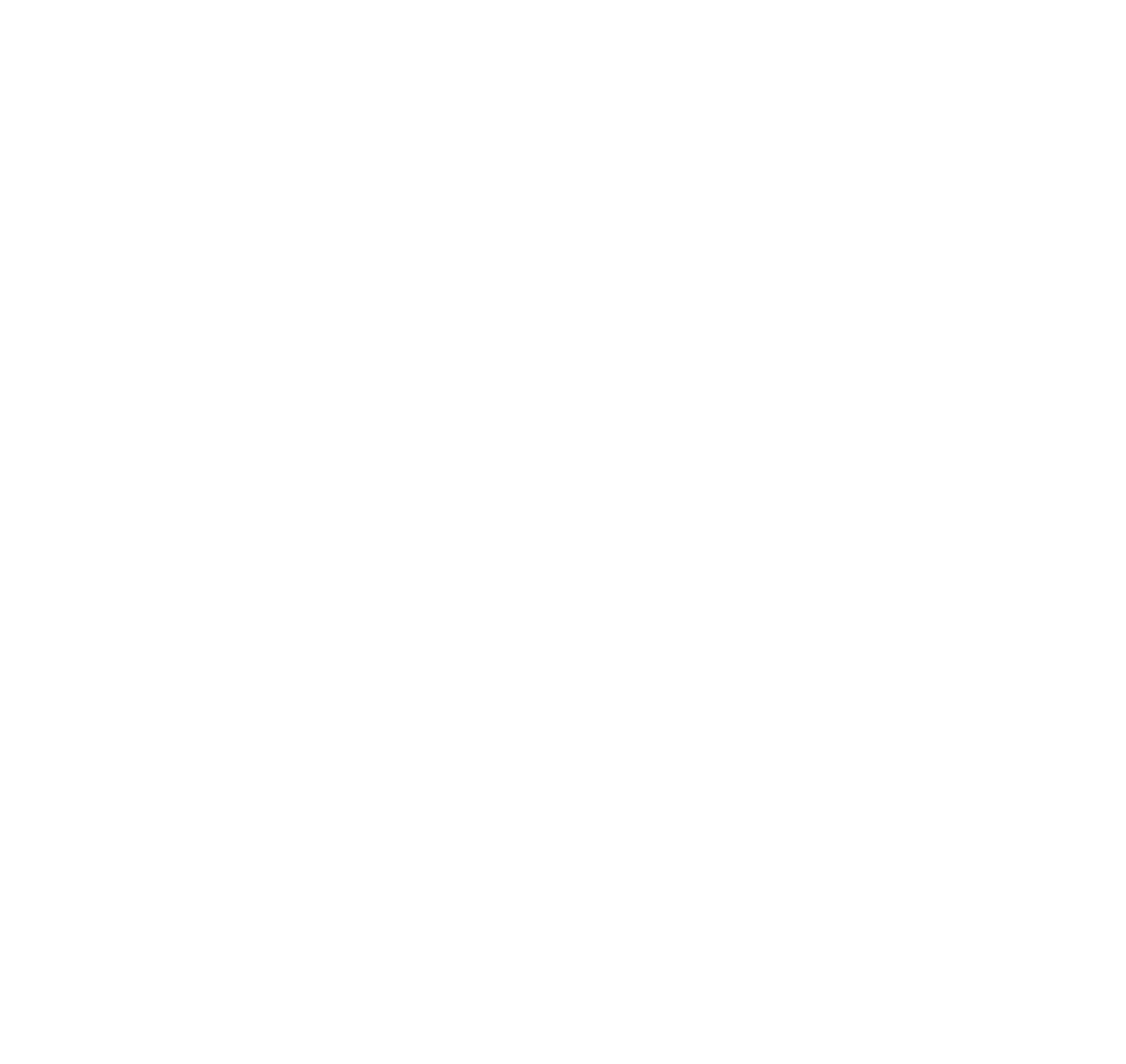 nextbasketballgeneration.com