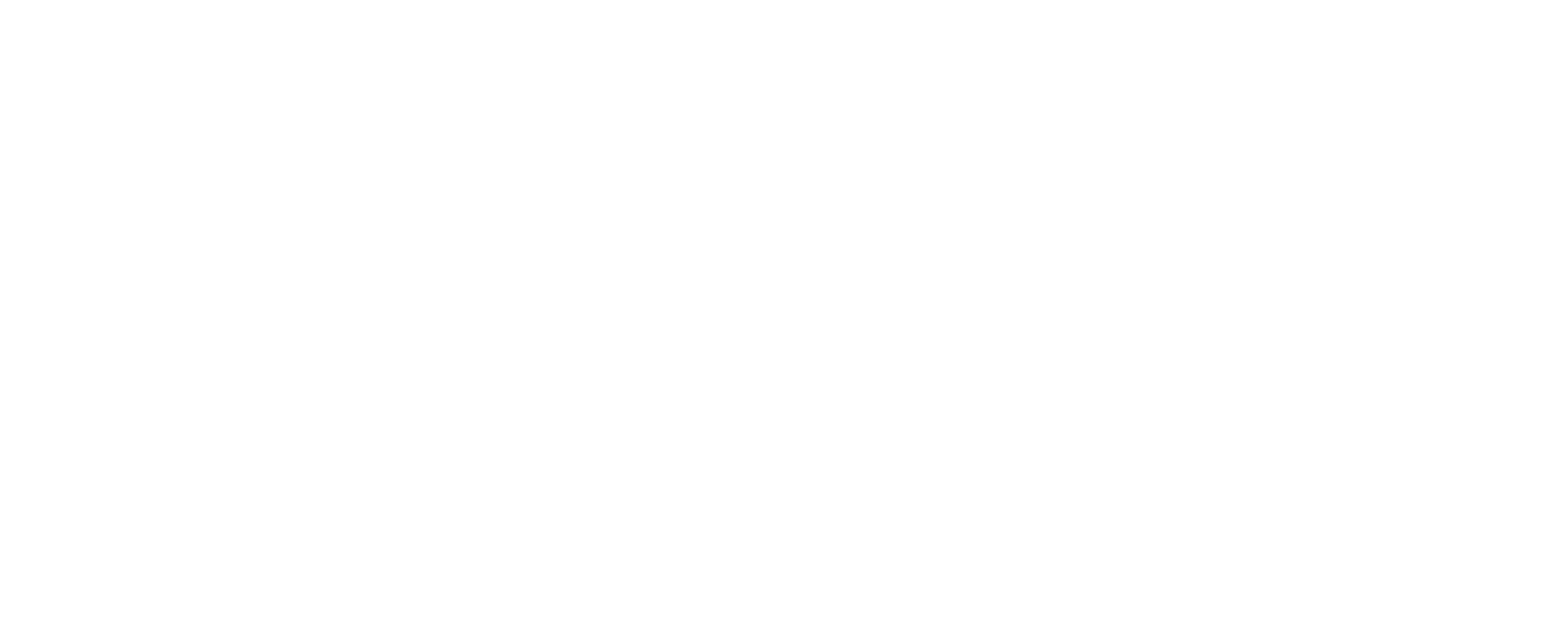 nextbasketballgeneration.com